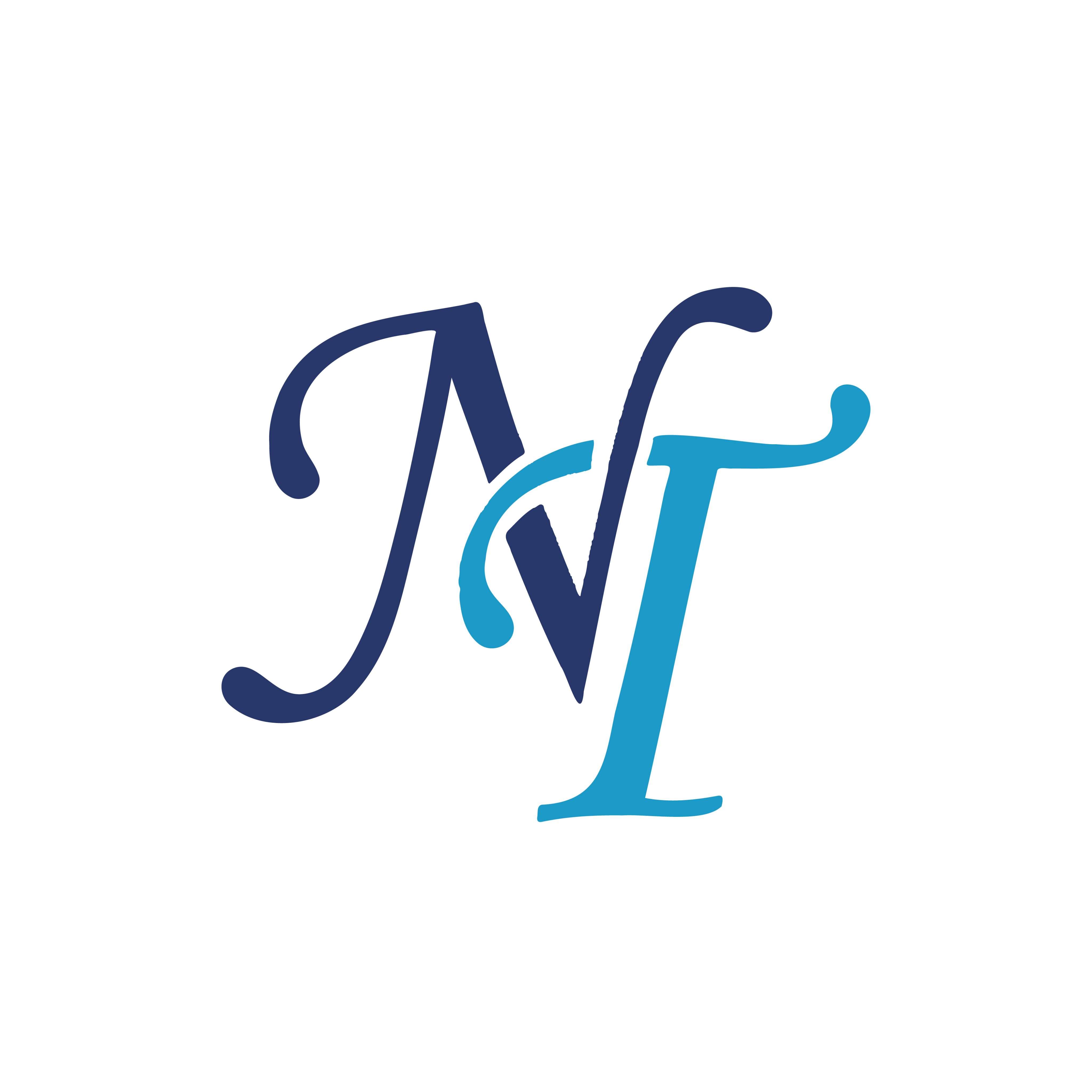 NT Clinic Logo